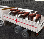 Truck Transport Domestic Animals